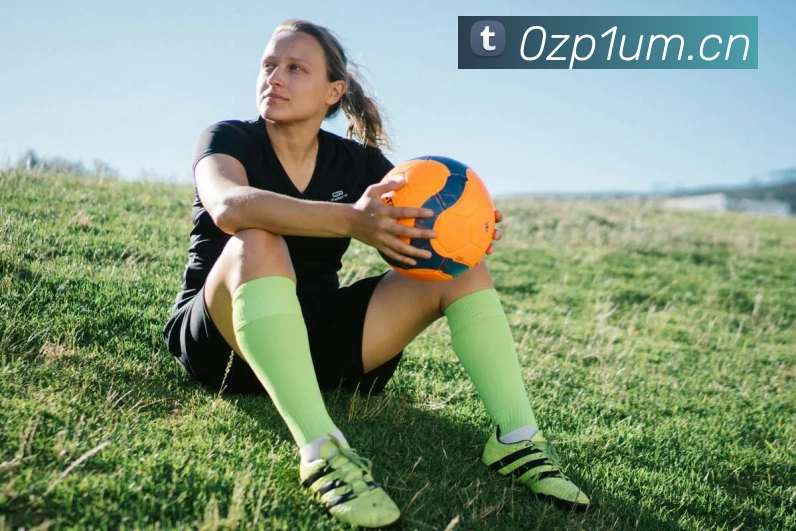 星空体育官网在线登陆发展历程